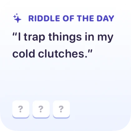 The small Riddle of the Day widget